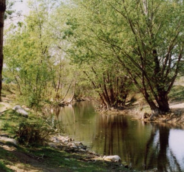 Le Coulazou à Murviel niveau 1/2 - Murviel-lès-Montpellier - 1