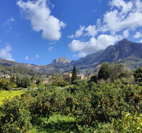 Soller, Fornatlux, Biniaraix - Sóller - 1