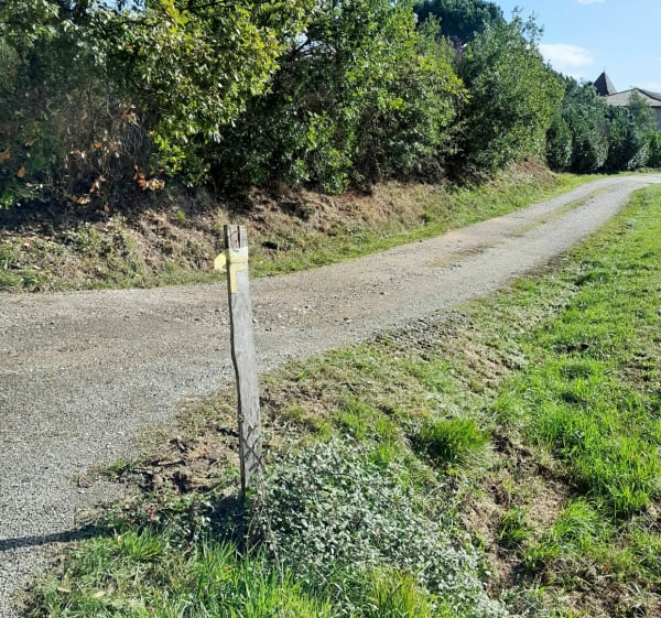 Autour de Montbartier entre forêt et canal. - Montbartier - 1