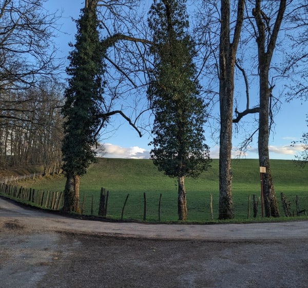 Sentier nature à La Bâtie-Montgascon - La Bâtie-Montgascon - 1