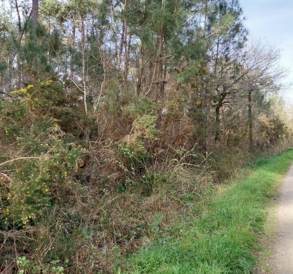 Autour de Férel sur routes et chemins - Férel - 1