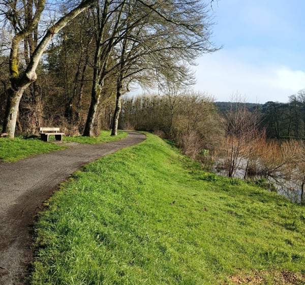 A travers bois de pins et halage depuis La Grée des Moulins - Saint-Perreux - 1