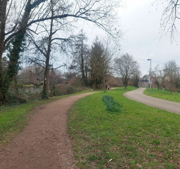 Entre ville et verdure depuis Koenighoffen - Strasbourg - 1