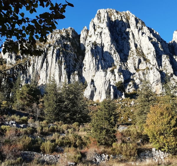 Balade au pied des falaises de Séranon - Séranon - 1