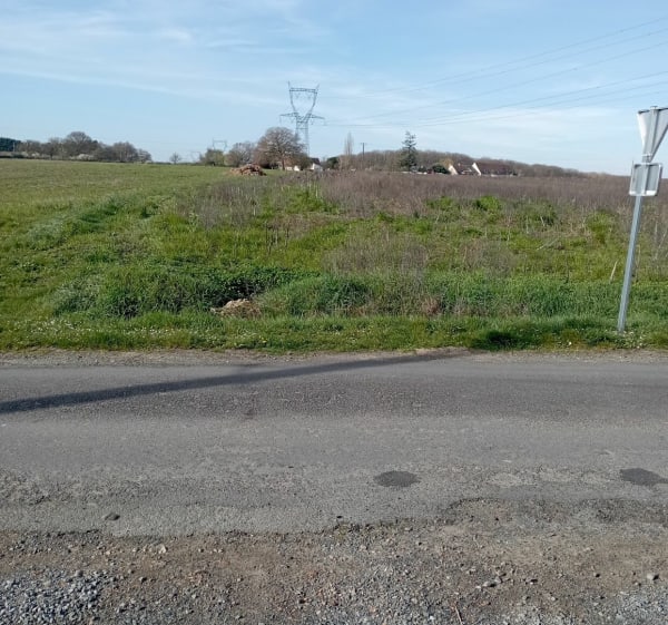 Reprise de printemps à Semblançay - Semblançay - 1