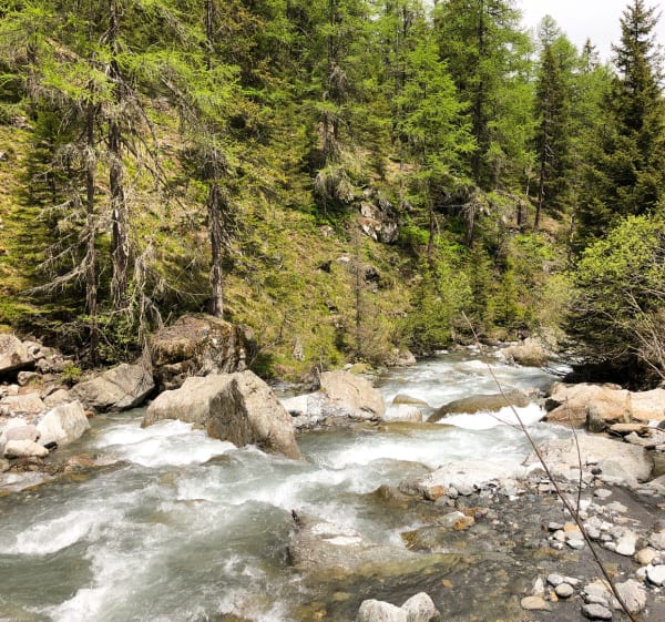 Boucle de la Cascade de Bérard - Vallorcine - 1