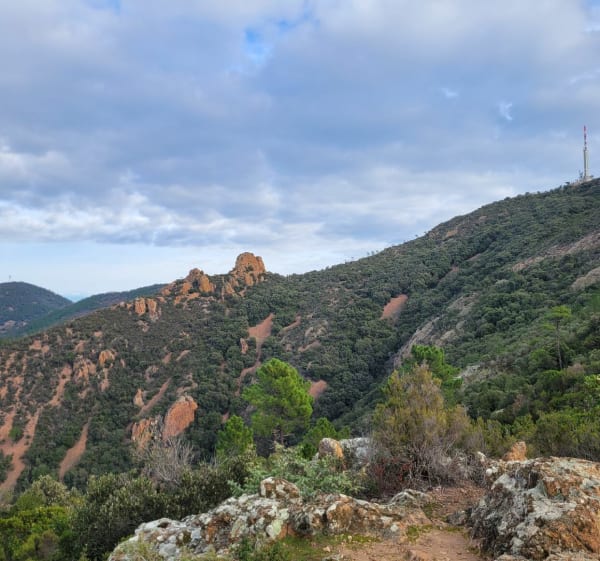Pic de l'Ours et ravins de l'Estérel depuis Théoule - Théoule-sur-Mer - 1