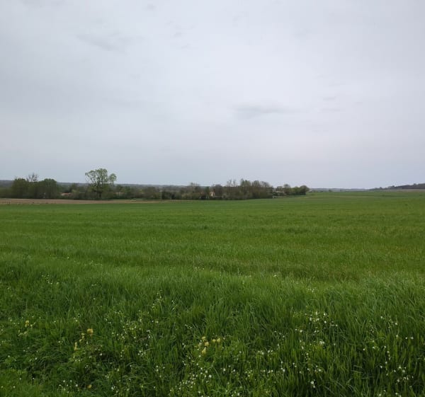 Petit tour par la Mothe Orson - Moutiers-sur-le-Lay - 1