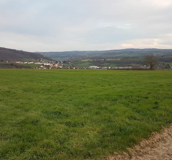 Boucle des hameaux Montbernier ,Charbonnieres , Mozas - Bourgoin-Jallieu - 1