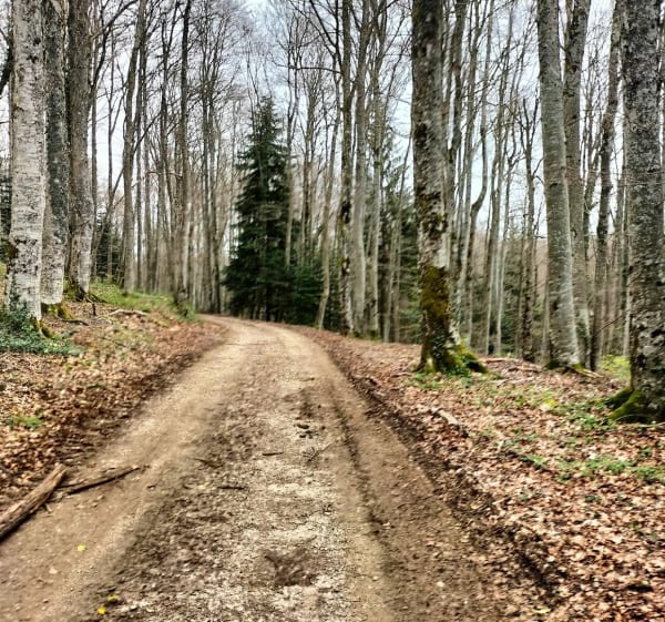 Entre Evosges et Hauteville - Évosges - 1