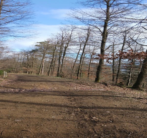 Boucle de Fraisses par le Bois de la Gonnière et la Rivoire - Fraisses - 1