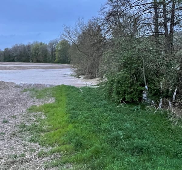 Boucle entre Fossoy et Blesme - Fossoy - 1