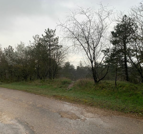 Chemins de traverse au plateau de Chenôve - Chenôve - 1