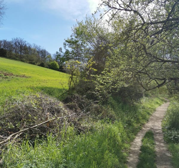 La campagne aux portes de Toulouse par Moncalm - Ramonville-Saint-Agne - 1