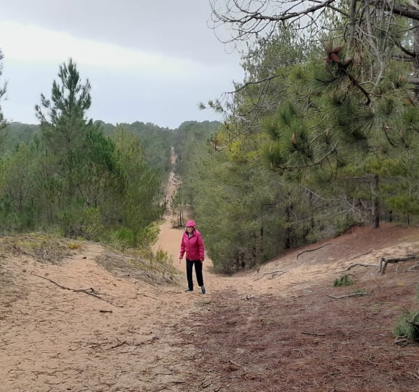 Entre mer et forêt à Saint-Hilaire-de-Riez - Saint-Hilaire-de-Riez - 1