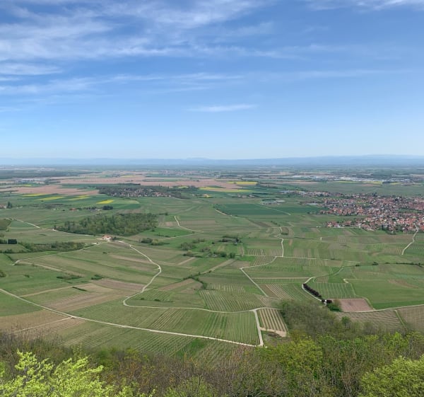 A l’assaut de l’Ortenbourg - Dieffenthal - 1