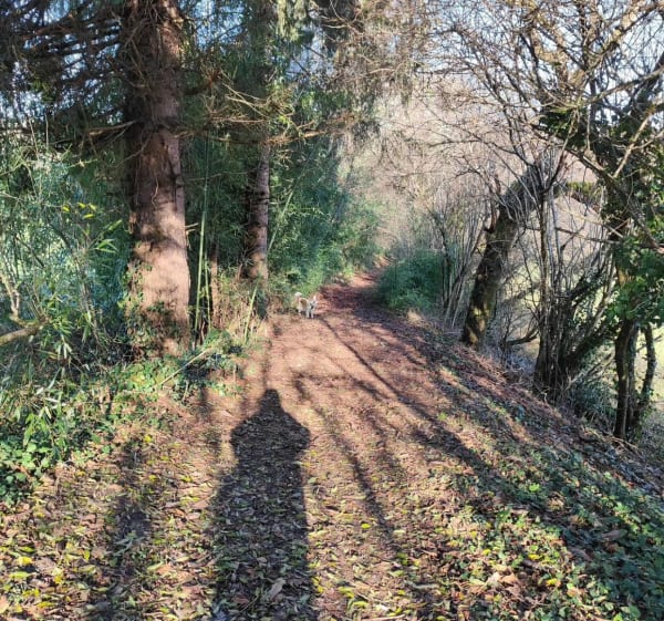 Sentier des 4 Puys - Sexcles - 1