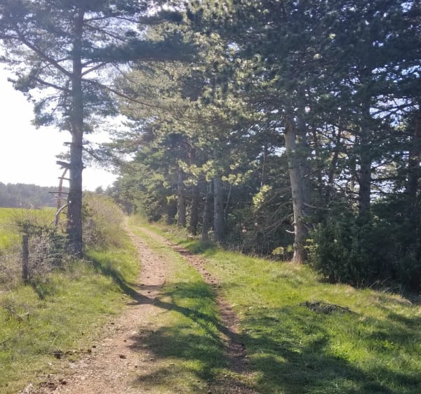Causse de Mende, par Ravin de la Fon Chapieu et de l'Aigle - Mende - 1