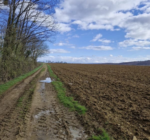 Jolie balade en campagne à Arcey - Arcey - 1