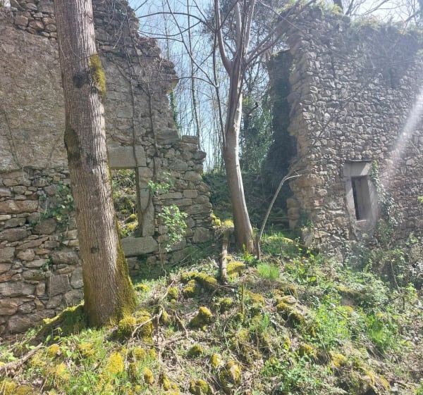 Village désert de la Frucharié à Aussillon - Aussillon - 1