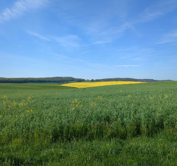 Balade entre Polaincourt et Hurecourt - Polaincourt-et-Clairefontaine - 1