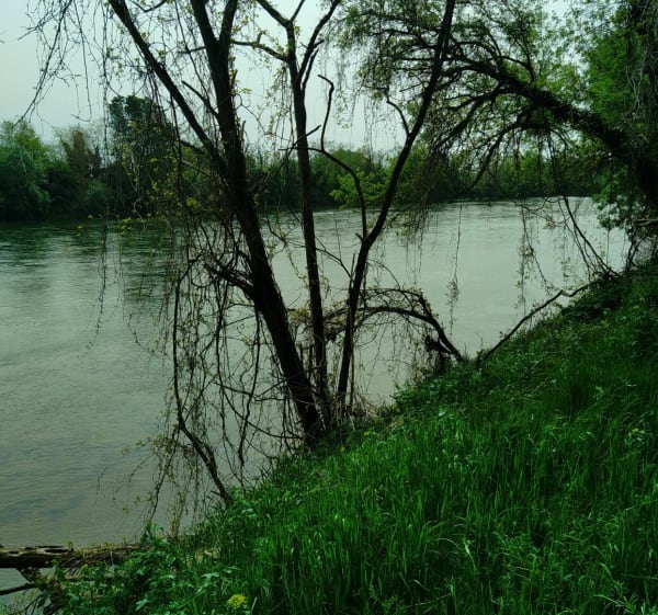 Parc des quinze sols - Beauzelle - 1