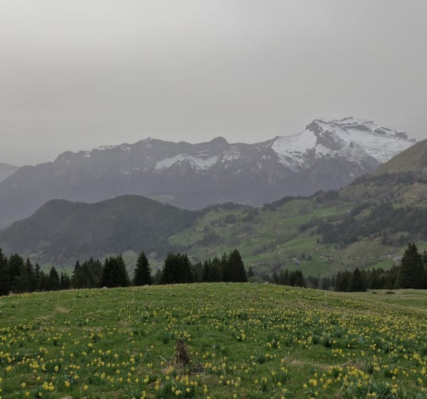 Les Fontanettes par les d'Zeures - Le Bouchet-Mont-Charvin - 1