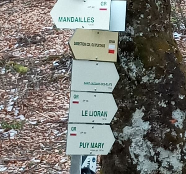 Van Lioran naar Thiézac via Griou - Laveissière - 1