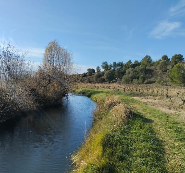 Canal de Saint Frichoux - Saint-Frichoux - 1