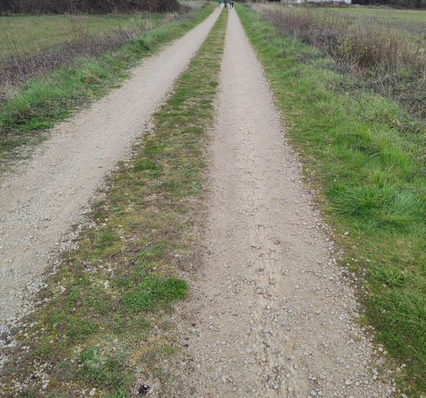 Mané Ménigo et Lande de Pen Pont - Locoal-Mendon - 1