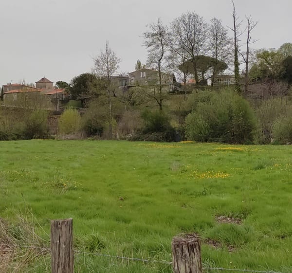Du moulin d'âne à Chantemerle, via le chemin des pêcheurs - Niort - 1