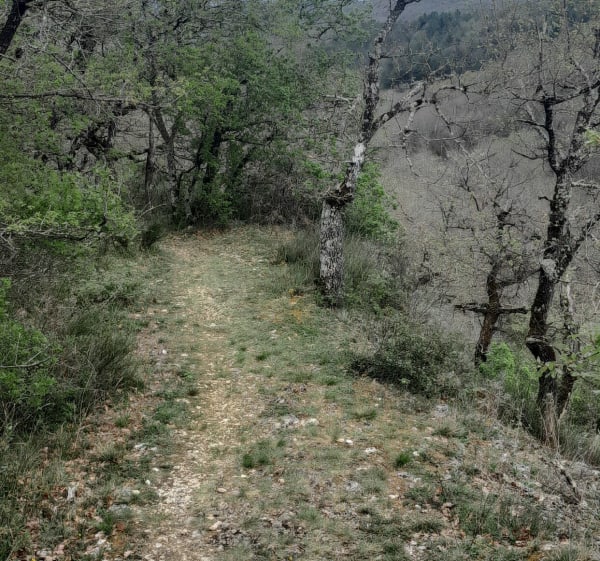Chemin des crêtes, par Coumatoué - Laffite-Toupière - 1