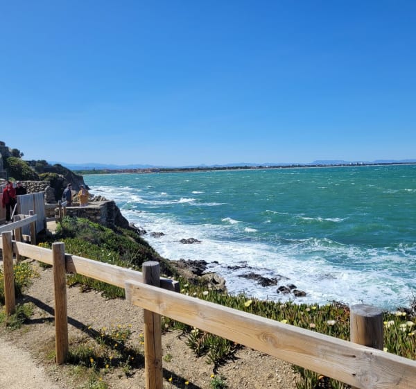 Boucle entre Le Racou et Collioure - Argelès-sur-Mer - 1