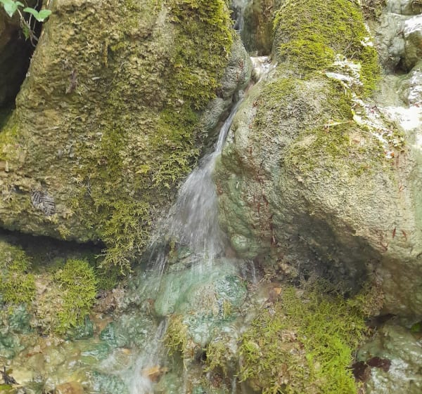Boucle Ferme Durand et Pariset - Fontaine - 1