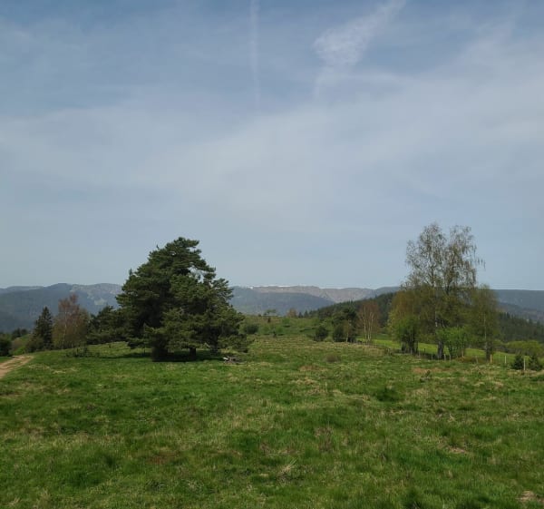 Glasborn et Wettstei - Soultzeren - 1