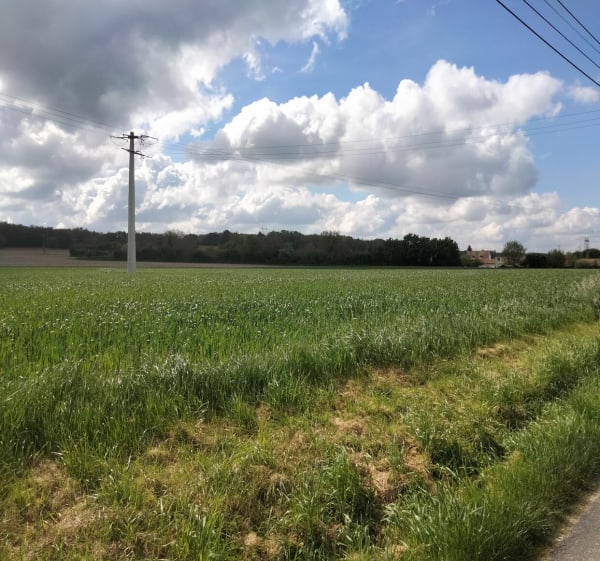 Randonnée au départ d'Ingrandes - Ingrandes - 1