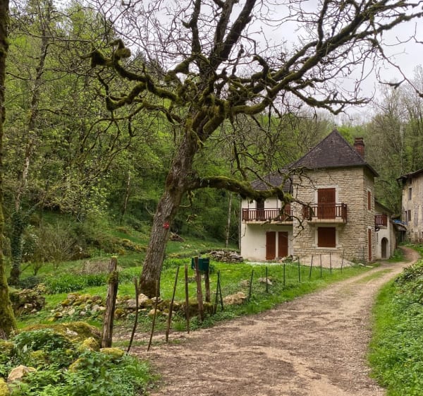 Balanod - l’Aubepin - Saint-Amour - 1