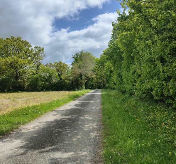 Boucle à Nouant-Les-Fontaines - Nouans-les-Fontaines - 1