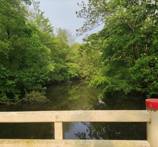 Minitour in het immense Amsterdamse bos - Amstelveen - 1