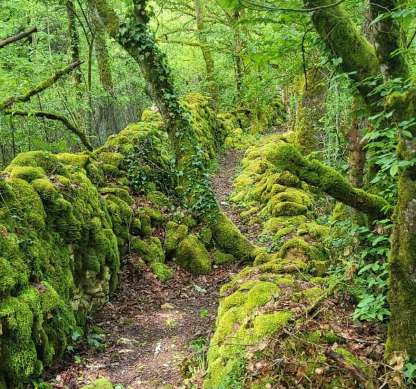 Rando autour de Turenne - Turenne - 1
