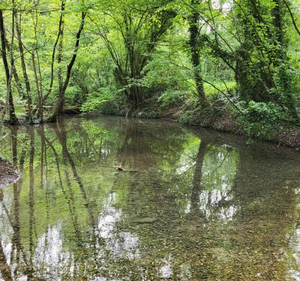 Lacs d'Emprunt et de la Forestière par la lône de Grella - Meyzieu - 1