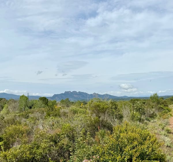 Circuit du lac des Requins - Roquebrune-sur-Argens - 1