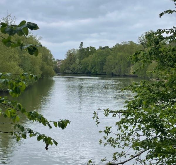 Promenade le long de la Sarthe - Sablé-sur-Sarthe - 1