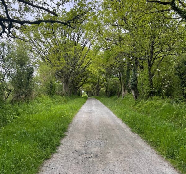 Promenade le long de la Sarthe - Angeline - 1