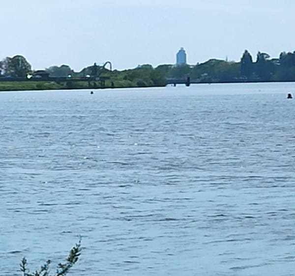 Boucle entre Rezé et Mauves-sur-Loire - Rezé - 1