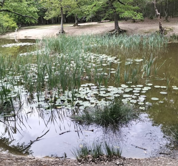 La Mare aux Biches et l'usine de Navarre - Évreux - 1
