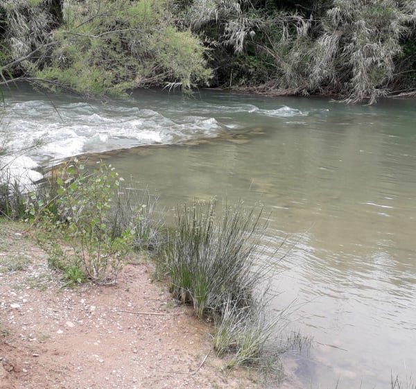 Llano de Blay Pedralba - Pedralba - 1