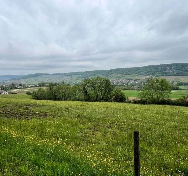 De la voie romaine au château du Pin (Jura) - Le Pin - 1