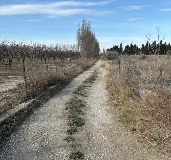 Autour de Claira, par la Torre, le long de l'Agly - Claira - 1
