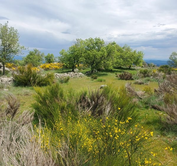 Randonnée à Camp Barrat autour de Colognac - Colognac - 1